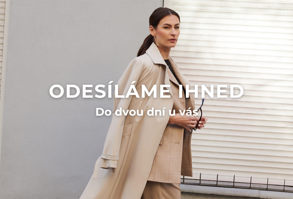 Odesíláme ihned