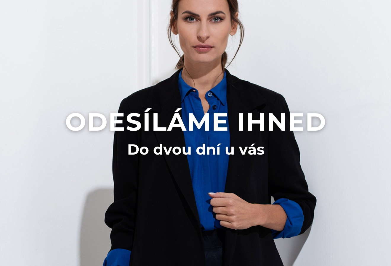 Odesíláme ihned